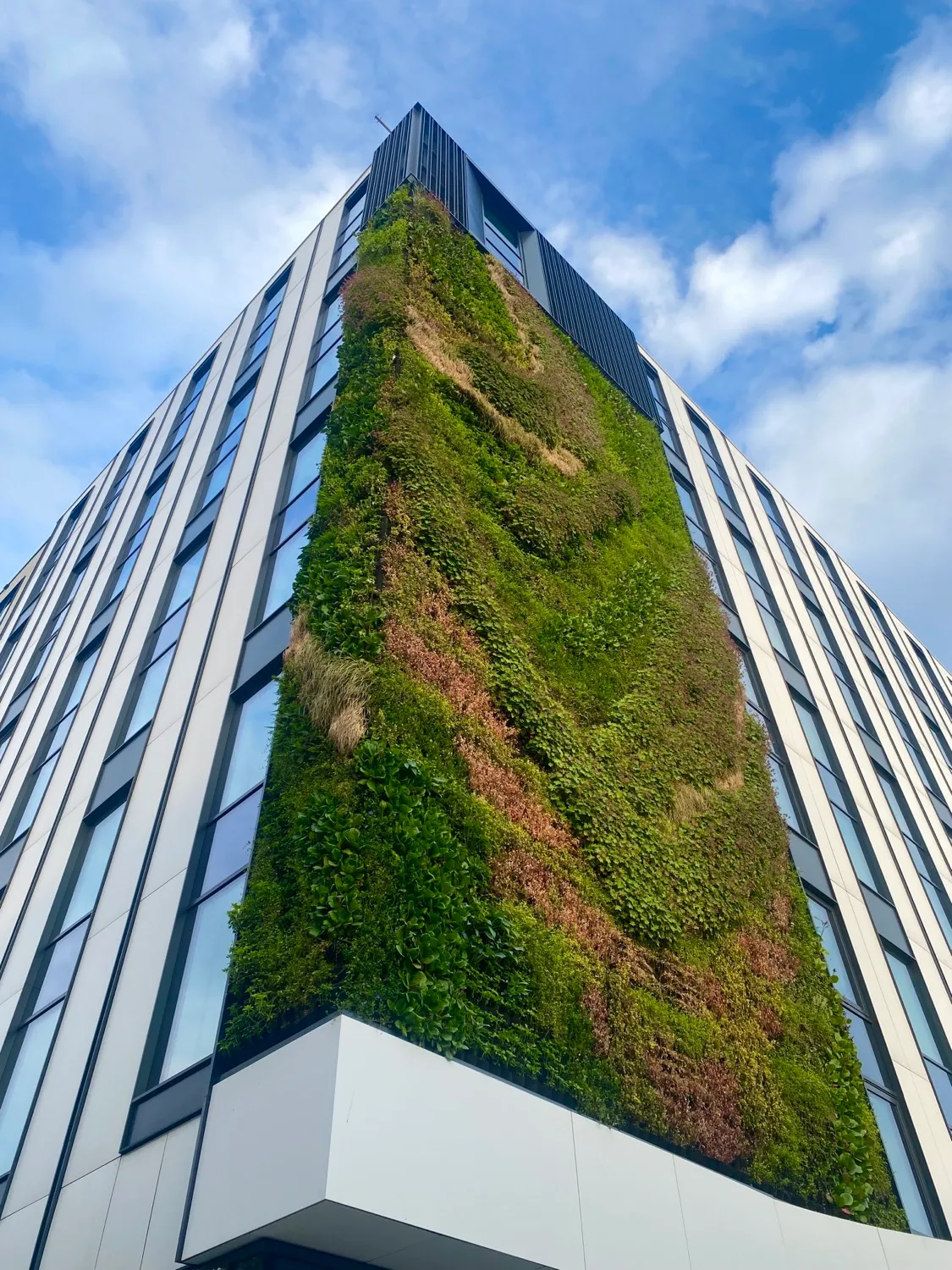 Mercure Hotel — green facade